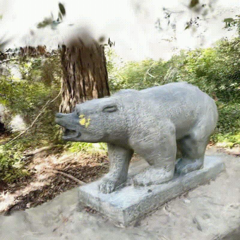bear